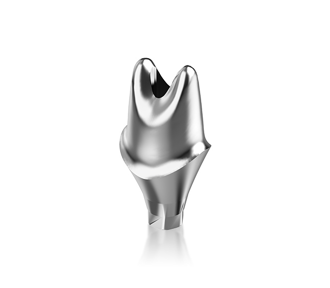 Personalized abutment